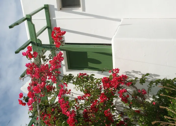 Adonis & 3* ナウサ