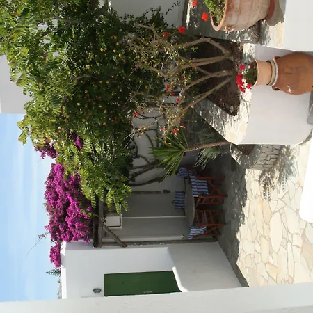 Adonis & Naousa (Paros)