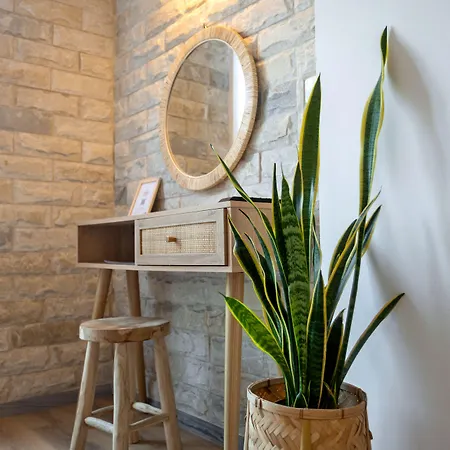 Adonis Studios&apartments