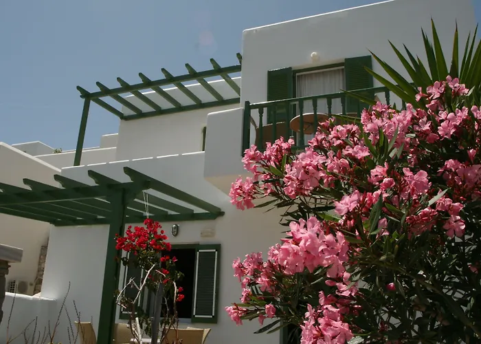 Adonis & Hotel Naoussa